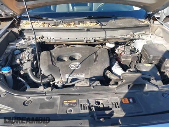 ✅ 2017 Mazda CX-9 Touring • VIN: JM3TCBCY5H0137990 • Lot: 43690016. Listed on IAAI with 62,668 mi. Free auction sales archive from the USA and detailed vehicle history report at DreamBid. Image 10.