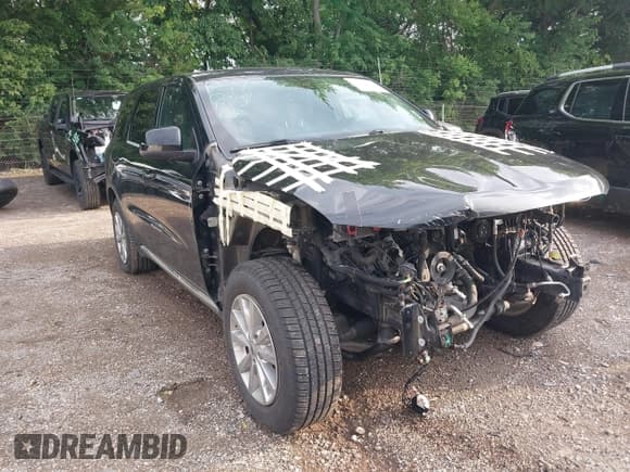 ✅ 2019 Dodge Durango SXT • VIN: 1C4RDHAG6KC721754 • Lot: 42711397. Listed on IAAI with 116,860 mi. Free auction sales archive from the USA and detailed vehicle history report at DreamBid. Image 1.