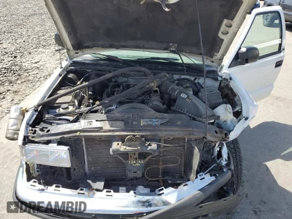 ✅ 2001 Chevrolet Blazer LS • VIN: 1GNDT13W71K230422 • Lot: 54924005. Wystawiony na Copart z przebiegiem 171 035 mil. Bezpłatny archiwum sprzedaży aukcyjnych z USA i szczegółowy raport historii pojazdu na DreamBid. Zdjęcie 12.