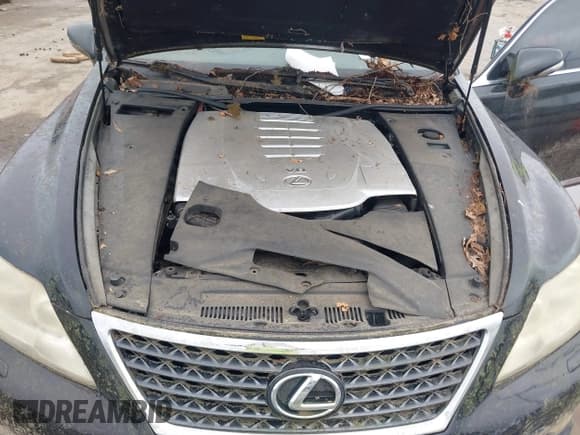 ✅ 2010 Lexus LS 460 • VIN: JTHBL5EF6A5097363 • Lot: 43026073. Listed on IAAI with Not provided. Free auction sales archive from the USA and detailed vehicle history report at DreamBid. Image 10.