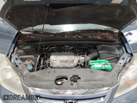 ✅ 2006 Honda Odyssey EX • VIN: 5FNRL38466B107572 • Lot: 43669588. Listed on IAAI with 269,074 mi. Free auction sales archive from the USA and detailed vehicle history report at DreamBid. Image 10.