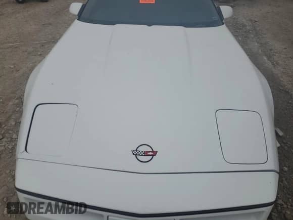 1990 Chevrolet Corvette with VIN 1G1YY238XL5116735, listed as a Copart auction lot 86195254 with Not provided miles and Clean title. Bid and sale history available at DreamBid. Image 12.