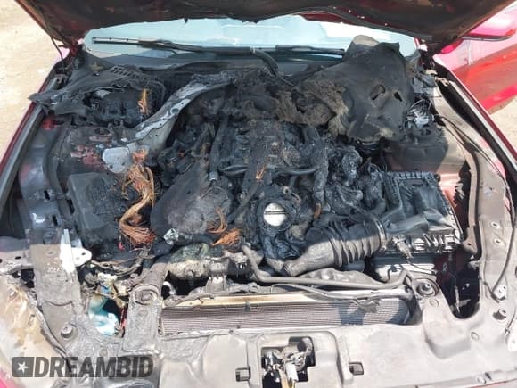 ✅ 2020 Ford Mustang GT • VIN: 1FA6P8CF7L5191661 • Lot: 42464094. Listed on IAAI with Not provided. Free auction sales archive from the USA and detailed vehicle history report at DreamBid. Image 10.