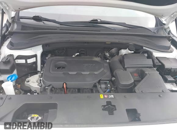 ✅ 2020 Hyundai Santa Fe SE • VIN: 5NMS23AD4LH253428 • Lot: 43637870. Wystawiony na IAAI z przebiegiem 33 456 mil. Bezpłatny archiwum sprzedaży aukcyjnych z USA i szczegółowy raport historii pojazdu na DreamBid. Zdjęcie 10.