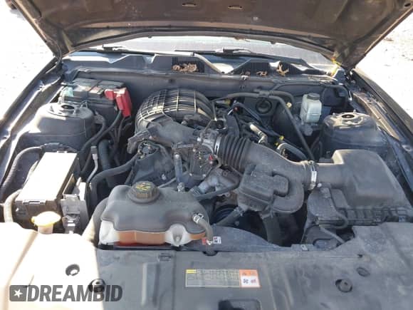 2014 Ford Mustang V6 с VIN 1ZVBP8AM2E5247130, выставлен на аукционе IAAI как лот 43260987 с пробегом 88 623 миль миль и . История ставок и продаж доступна на DreamBid. Изображение 10.