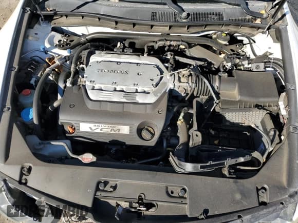 ✅ 2011 Honda Accord EX-L • VIN: 1HGCS2B82BA003664 • Lot: 83066274. Listed on Copart with 83,482 mi. Free auction sales archive from the USA and detailed vehicle history report at DreamBid. Image 11.