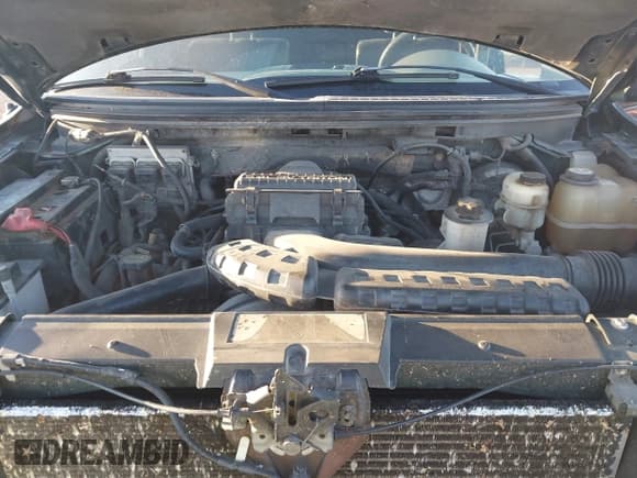 ✅ 2008 Ford F-150 XLT • VIN: 1FTPW14V68KD46207 • Lot: 43314069. Wystawiony na IAAI z przebiegiem 200 856 mil. Bezpłatny archiwum sprzedaży aukcyjnych z USA i szczegółowy raport historii pojazdu na DreamBid. Zdjęcie 10.