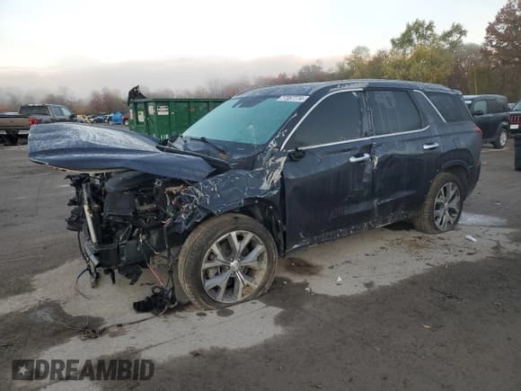 ✅ 2020 Hyundai Palisade SEL • VIN: KM8R4DHE7LU029197 • Лот: 77357774. Опубликован ранее на Copart с пробегом 94 324 миль. Бесплатный доступ к архиву аукционных продаж из США и подробный отчёт об истории автомобиля на DreamBid. Изображение 1.