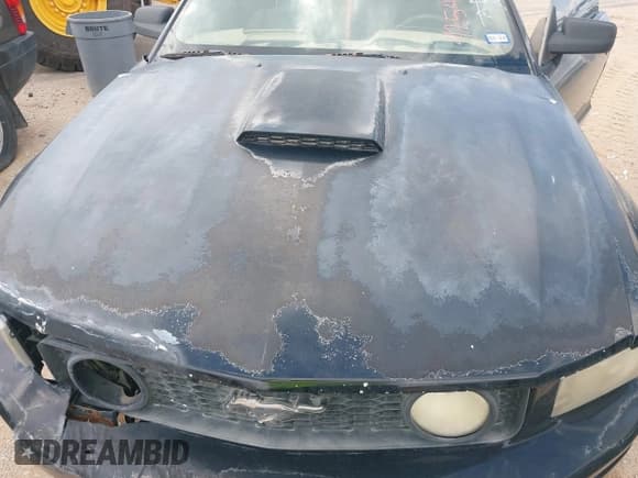 ✅ 2007 Ford Mustang GT Deluxe • VIN: 1ZVHT85H575287613 • Лот: 42543302. Опубликован ранее на IAAI с пробегом Не указан. Бесплатный доступ к архиву аукционных продаж из США и подробный отчёт об истории автомобиля на DreamBid. Изображение 10.