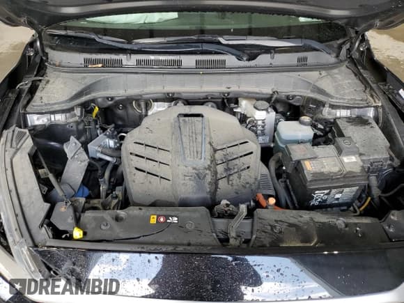 ✅ 2019 Hyundai Kona SEL • VIN: KM8K23AG1KU037047 • Лот: 57554184. Опубликован ранее на Copart с пробегом 32 404 миль. Бесплатный доступ к архиву аукционных продаж из США и подробный отчёт об истории автомобиля на DreamBid. Изображение 12.