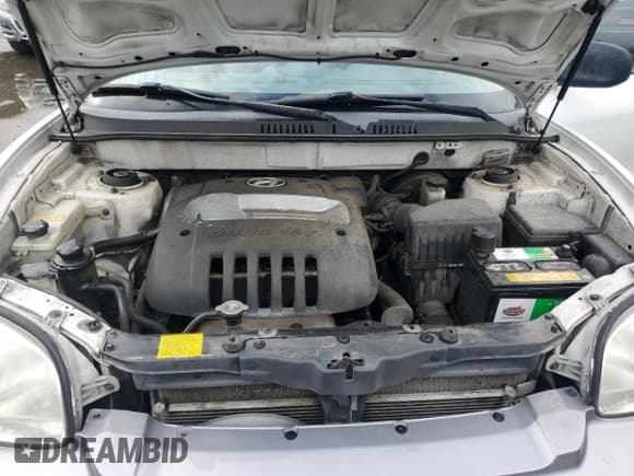 ✅ 2003 Hyundai Santa Fe • VIN: KM8SB12B13U415361 • Lot: 90038705. Listed on Copart with 225,424 mi. Free auction sales archive from the USA and detailed vehicle history report at DreamBid. Image 12.