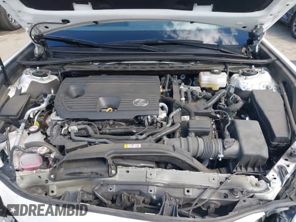 ✅ 2023 Lexus ES 300h • VIN: 58ADA1C15PU029297 • Lot: 43283255. Listed on IAAI with 30,374 mi. Free auction sales archive from the USA and detailed vehicle history report at DreamBid. Image 10.