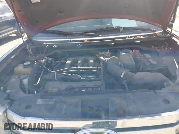 ✅ 2009 Ford Flex Limited • VIN: 2FMDK53C09BA01767 • Lot: 43589903. Wystawiony na IAAI z przebiegiem 157 014 mil. Bezpłatny archiwum sprzedaży aukcyjnych z USA i szczegółowy raport historii pojazdu na DreamBid. Zdjęcie 10.