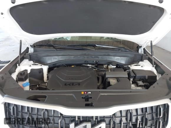 ✅ 2024 Kia Telluride EX • VIN: 5XYP34GC1RG431208 • Lot: 43681589. Listed on IAAI with 9,462 mi. Free auction sales archive from the USA and detailed vehicle history report at DreamBid. Image 10.