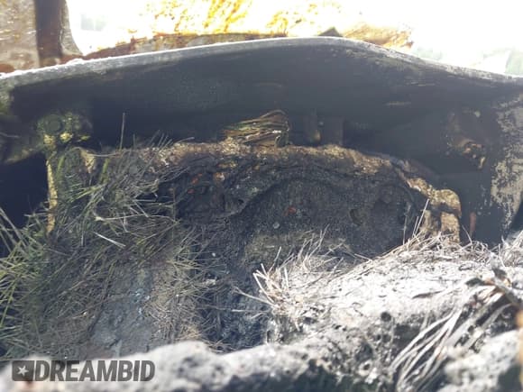 ✅ 2011 Chevrolet Express Cargo • VIN: 1GCWGFCG7B1187168 • Лот: 42423425. Опубликован ранее на IAAI с пробегом Не указан. Бесплатный доступ к архиву аукционных продаж из США и подробный отчёт об истории автомобиля на DreamBid. Изображение 7.