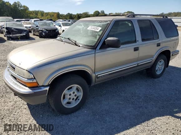 1999 Chevrolet Blazer LS z VIN 1GNDT13W9X2220743, wystawiony jako Copart lot #73434054 z przebiegiem 267 137 mil mil oraz Szkoda całkowita • Salvage title. Historia ofert i sprzedaży dostępna na DreamBid. Obrazek 1.