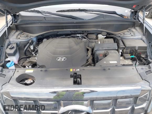 ✅ 2023 Hyundai Palisade Limited • VIN: KM8R54GEXPU559300 • Lot: 43168759. Listed on IAAI with 37,683 mi. Free auction sales archive from the USA and detailed vehicle history report at DreamBid. Image 10.