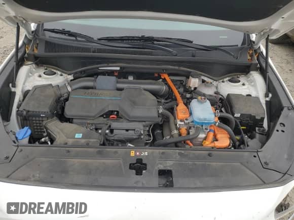 2023 Hyundai Santa Fe SEL Convenience with VIN KM8S6DA24PU091156, listed as a Copart auction lot 80410565 with 25,138 mi miles and Salvage title. Bid and sale history available at DreamBid. Image 12.