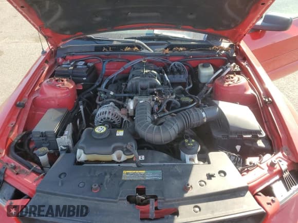 ✅ 2008 Ford Mustang Deluxe • VIN: 1ZVHT80N585187915 • Lot: 80142515. Listed on Copart with 158,075 mi. Free auction sales archive from the USA and detailed vehicle history report at DreamBid. Image 11.