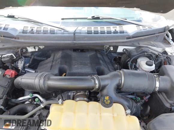 ✅ 2017 Ford F-150 XL • VIN: 1FTFX1EG4HKC01806 • Lot: 42776061. Listed on IAAI with 56,223 mi. Free auction sales archive from the USA and detailed vehicle history report at DreamBid. Image 10.