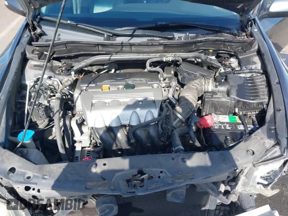 ✅ 2009 Acura TSX • VIN: JH4CU26609C031462 • Lot: 42131701. Listed on IAAI with Not provided. Free auction sales archive from the USA and detailed vehicle history report at DreamBid. Image 10.