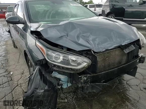 ✅ 2019 Kia Forte LXS • VIN: 3KPF24AD8KE013876 • Lot: 59156525. Wystawiony na Copart z przebiegiem 199 097 mil. Bezpłatny archiwum sprzedaży aukcyjnych z USA i szczegółowy raport historii pojazdu na DreamBid. Zdjęcie 14.