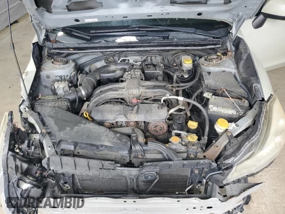 ✅ 2013 Subaru Crosstrek Premium • VIN: JF2GPACC9D1843251 • Lot: 63005975. Listed on Copart with 142,659 mi. Free auction sales archive from the USA and detailed vehicle history report at DreamBid. Image 11.