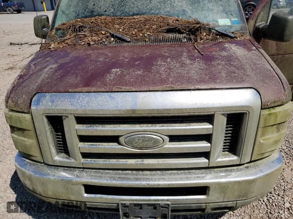 ✅ 2009 Ford Econoline Cargo Commercial • VIN: 1FTSE34L89DA25539 • Lot: 62852695. Listed on Copart with Not provided. Free auction sales archive from the USA and detailed vehicle history report at DreamBid. Image 12.