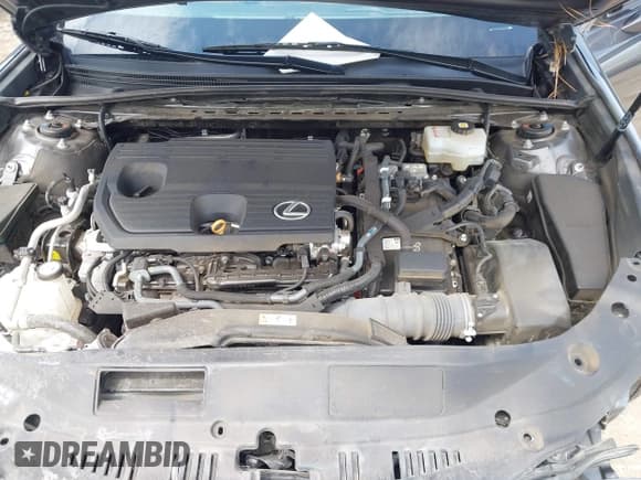 ✅ 2023 Lexus ES 300h • VIN: 58ADA1C17PU027891 • Lot: 43043227. Listed on IAAI with 44,390 mi. Free auction sales archive from the USA and detailed vehicle history report at DreamBid. Image 10.