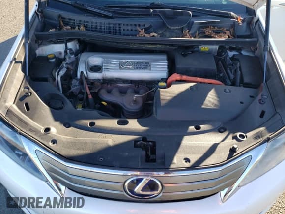 ✅ 2010 Lexus HS 250h Premium • VIN: JTHBB1BA5A2006752 • Lot: 85190035. Wystawiony na Copart z przebiegiem 237 033 mil. Bezpłatny archiwum sprzedaży aukcyjnych z USA i szczegółowy raport historii pojazdu na DreamBid. Zdjęcie 11.