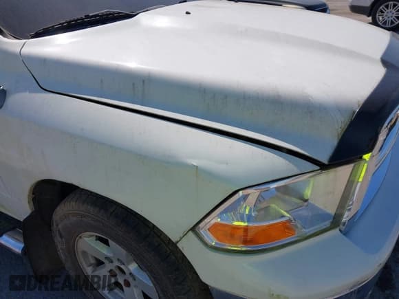 ✅ 2009 Dodge 1500 ST • VIN: 1D3HB18P29S796649 • Lot: 43117866. Wystawiony na IAAI z przebiegiem 294 122 mil. Bezpłatny archiwum sprzedaży aukcyjnych z USA i szczegółowy raport historii pojazdu na DreamBid. Zdjęcie 6.