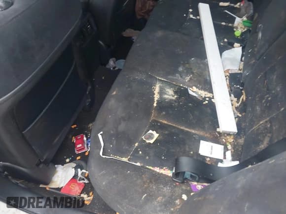 ✅ 2014 Nissan Maxima SV • VIN: 1N4AA5AP7EC907236 • Lot: 43843193. Wystawiony na IAAI z przebiegiem 221 970 mil. Bezpłatny archiwum sprzedaży aukcyjnych z USA i szczegółowy raport historii pojazdu na DreamBid. Zdjęcie 12.