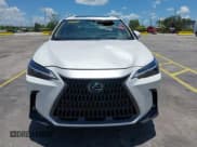 ✅ 2025 Lexus NX 250 Premium • VIN: 2T2GDCAZ5SC025045 • Lot: 42577944. Listed on IAAI with Not provided. Free auction sales archive from the USA and detailed vehicle history report at DreamBid. Image 6.