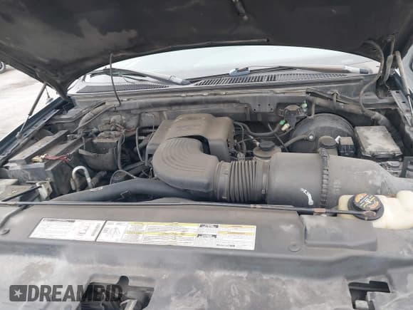 ✅ 1999 Ford Expedition XLT • VIN: 1FMRU1762XLB20611 • Lot: 42399329. Wystawiony na IAAI z przebiegiem 214 641 mil. Bezpłatny archiwum sprzedaży aukcyjnych z USA i szczegółowy raport historii pojazdu na DreamBid. Zdjęcie 10.