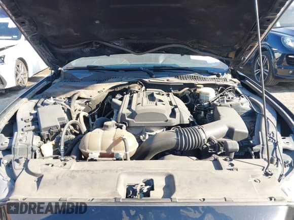 ✅ 2016 Ford Mustang EcoBoost • VIN: 1FA6P8TH7G5281531 • Lot: 43334626. Listed on IAAI with 136,026 mi. Free auction sales archive from the USA and detailed vehicle history report at DreamBid. Image 10.