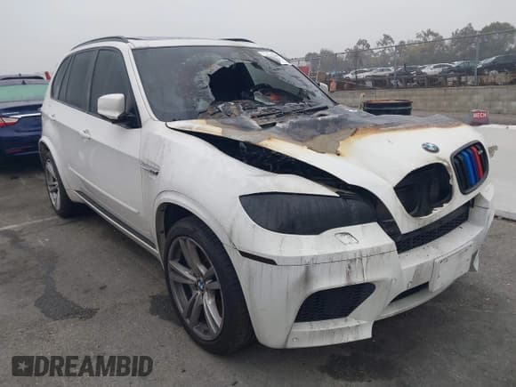 ✅ 2010 BMW X5 M • VIN: 5YMGY0C52ALK25509 • Lot: 41227049. Listed on IAAI with Not provided. Free auction sales archive from the USA and detailed vehicle history report at DreamBid. Image 1.