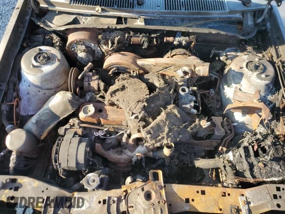 ✅ 1984 Chevrolet Cavalier • VIN: 1G1AD69P3EJ312352 • Lot: 81424985. Listed on Copart with 517,098 mi. Free auction sales archive from the USA and detailed vehicle history report at DreamBid. Image 11.