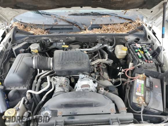 2005 Dodge Dakota SLT with VIN 1D7HE48N85S165422, listed as a Copart auction lot 79290624 with Not provided miles and Clean title. Bid and sale history available at DreamBid. Image 11.