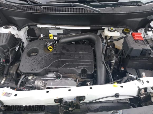 ✅ 2025 GMC Terrain AWD Elevation • VIN: 3GKALUEG4SL233298 • Lot: 43244672. Listed on IAAI with 6,479 mi. Free auction sales archive from the USA and detailed vehicle history report at DreamBid. Image 10.