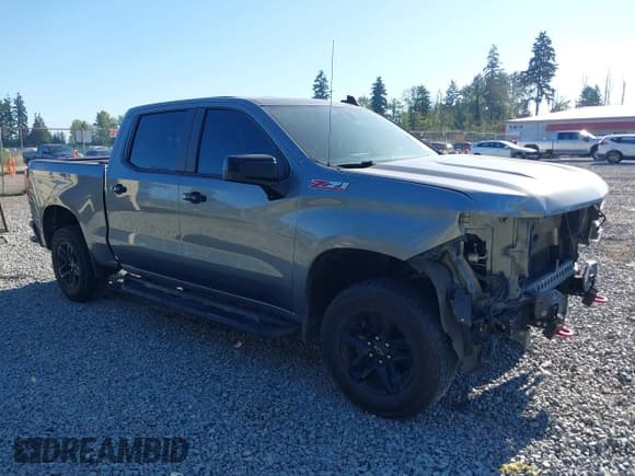 ✅ 2019 Chevrolet Silverado 1500 LT Trail Boss • VIN: 3GCPYFEDXKG202543 • Lot: 42712292. Wystawiony na IAAI z przebiegiem 125 697 mil. Bezpłatny archiwum sprzedaży aukcyjnych z USA i szczegółowy raport historii pojazdu na DreamBid. Zdjęcie 1.