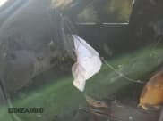 ✅ 2004 Chevrolet Colorado 1SB LS Z85 • VIN: 1GCDT136648102621 • Лот: 72352564. Опубликован ранее на Copart с пробегом Не указан. Бесплатный доступ к архиву аукционных продаж из США и подробный отчёт об истории автомобиля на DreamBid. Изображение 7.