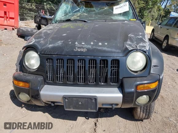 ✅ 2003 Jeep Liberty Renegade • VIN: 1J4GL38K53W546611 • Лот: 40289752. Опубликован ранее на IAAI с пробегом 63 192 миль. Бесплатный доступ к архиву аукционных продаж из США и подробный отчёт об истории автомобиля на DreamBid. Изображение 13.