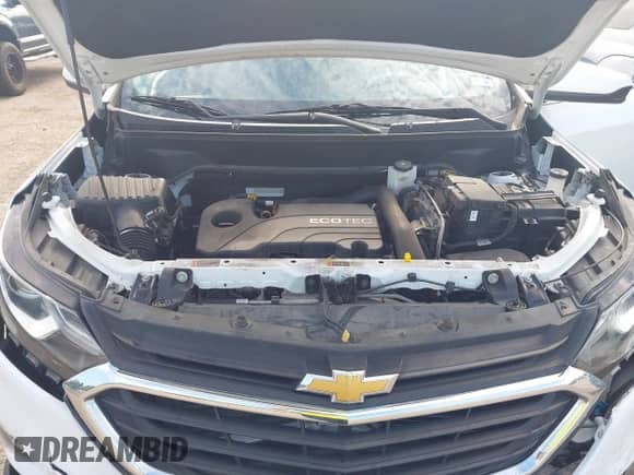 2020 Chevrolet Equinox LT z VIN 2GNAXKEV4L6180165, wystawiony jako IAAI lot #43087345 z przebiegiem 108 585 mil mil oraz . Historia ofert i sprzedaży dostępna na DreamBid. Obrazek 10.