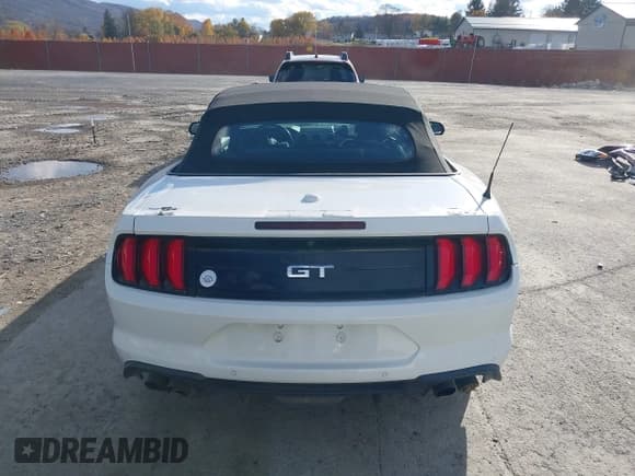 ✅ 2019 Ford Mustang GT Premium • VIN: 1FATP8FF4K5171736 • Lot: 43613323. Wystawiony na IAAI z przebiegiem 59 354 mil. Bezpłatny archiwum sprzedaży aukcyjnych z USA i szczegółowy raport historii pojazdu na DreamBid. Zdjęcie 17.