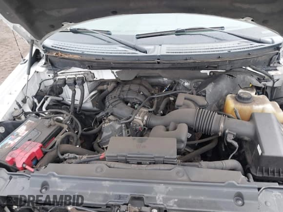 ✅ 2014 Ford F-150 XL • VIN: 1FTEX1EM8EFB18420 • Lot: 41817793. Wystawiony na IAAI z przebiegiem 92 833 mil. Bezpłatny archiwum sprzedaży aukcyjnych z USA i szczegółowy raport historii pojazdu na DreamBid. Zdjęcie 10.