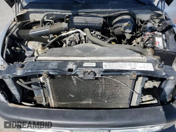 2001 Dodge 1500 Work Special z VIN 1B7HC16X21S287075, wystawiony jako Copart lot #76584614 z przebiegiem 330 149 mil mil oraz Szkoda całkowita • Salvage title. Historia ofert i sprzedaży dostępna na DreamBid. Obrazek 11.