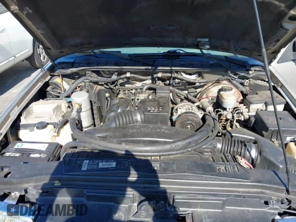 ✅ 1998 Chevrolet S-10 • VIN: 1GCCS1441WK230265 • Lot: 43668946. Wystawiony na IAAI z przebiegiem 170 162 mil. Bezpłatny archiwum sprzedaży aukcyjnych z USA i szczegółowy raport historii pojazdu na DreamBid. Zdjęcie 10.