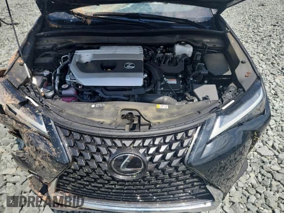 ✅ 2024 Lexus UX 250h Premium • VIN: JTHP6JBH1R2182118 • Lot: 66344315. Listed on Copart with 28,318 mi. Free auction sales archive from the USA and detailed vehicle history report at DreamBid. Image 12.