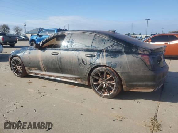 ✅ 2024 Cadillac CT5-V • VIN: 1G6DR5RW3R0129393 • Lot: 76541134. Wystawiony na Copart z przebiegiem Nie podano. Bezpłatny archiwum sprzedaży aukcyjnych z USA i szczegółowy raport historii pojazdu na DreamBid. Zdjęcie 2.