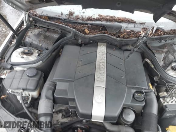 ✅ 2002 Mercedes-Benz C 230/260/280/320 • VIN: WDBRF61J52E006316 • Lot: 42669519. Wystawiony na IAAI z przebiegiem Nie podano. Bezpłatny archiwum sprzedaży aukcyjnych z USA i szczegółowy raport historii pojazdu na DreamBid. Zdjęcie 10.